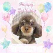 ヒメ日記 2025/02/27 15:19 投稿 しいな シャブール