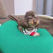 ヒメ日記 2025/03/02 16:01 投稿 しいな シャブール