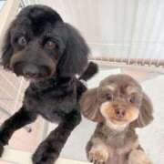 ヒメ日記 2025/03/20 18:16 投稿 しいな シャブール