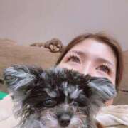 ヒメ日記 2025/04/07 16:09 投稿 しいな シャブール