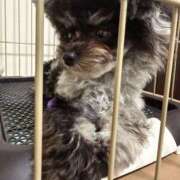 ヒメ日記 2025/04/23 20:04 投稿 しいな シャブール