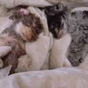 ヒメ日記 2025/04/30 18:04 投稿 しいな シャブール