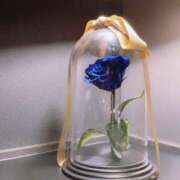 ヒメ日記 2025/05/28 20:46 投稿 しいな シャブール