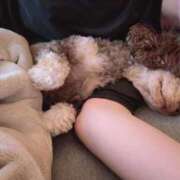 ヒメ日記 2025/05/29 16:03 投稿 しいな シャブール