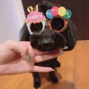 ヒメ日記 2025/05/30 02:17 投稿 しいな シャブール