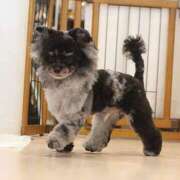 ヒメ日記 2025/06/02 17:33 投稿 しいな シャブール