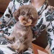 ヒメ日記 2025/06/12 13:15 投稿 しいな シャブール