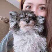 ヒメ日記 2025/07/03 15:26 投稿 しいな シャブール