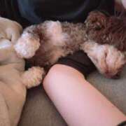 ヒメ日記 2025/07/09 18:33 投稿 しいな シャブール