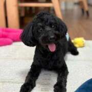 ヒメ日記 2025/08/23 23:53 投稿 しいな シャブール