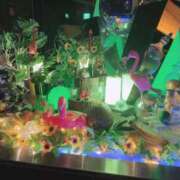 ヒメ日記 2025/08/27 04:29 投稿 しいな シャブール