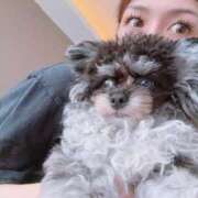 ヒメ日記 2025/09/11 14:30 投稿 しいな シャブール