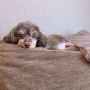 ヒメ日記 2025/10/07 15:30 投稿 しいな シャブール