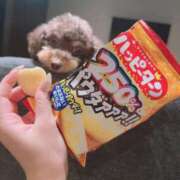 ヒメ日記 2025/10/27 16:30 投稿 しいな シャブール