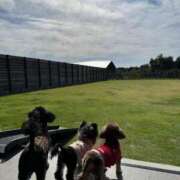 ヒメ日記 2025/10/29 17:32 投稿 しいな シャブール