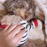 ヒメ日記 2025/11/20 21:20 投稿 しいな シャブール