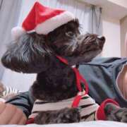 ヒメ日記 2025/12/25 23:38 投稿 しいな シャブール