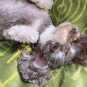 ヒメ日記 2026/01/01 20:04 投稿 しいな シャブール