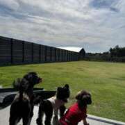 ヒメ日記 2026/01/31 21:23 投稿 しいな シャブール