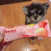 ヒメ日記 2026/02/05 21:04 投稿 しいな シャブール