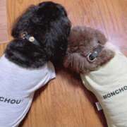 ヒメ日記 2026/02/17 18:03 投稿 しいな シャブール