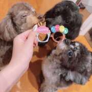 ヒメ日記 2026/02/26 22:26 投稿 しいな シャブール