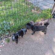 ヒメ日記 2026/03/01 18:25 投稿 しいな シャブール