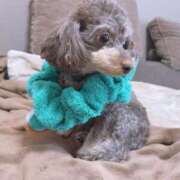 ヒメ日記 2026/03/07 15:31 投稿 しいな シャブール