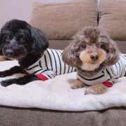 ヒメ日記 2026/03/07 18:15 投稿 しいな シャブール