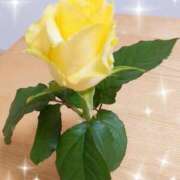 ヒメ日記 2025/04/04 00:08 投稿 いずみ ルネッサンス