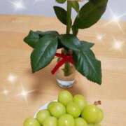 ヒメ日記 2025/07/18 00:26 投稿 いずみ ルネッサンス