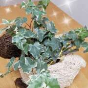 ヒメ日記 2025/08/11 22:16 投稿 いずみ ルネッサンス