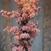 ヒメ日記 2026/04/07 23:58 投稿 いずみ ルネッサンス