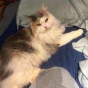 ヒメ日記 2025/06/22 09:49 投稿 ひかる ハッピーブリッジ