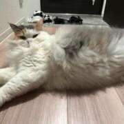 ヒメ日記 2025/06/23 09:47 投稿 ひかる ハッピーブリッジ