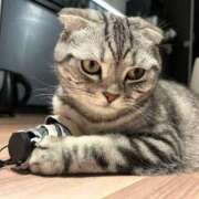 ヒメ日記 2025/06/24 09:37 投稿 ひかる ハッピーブリッジ