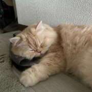 ヒメ日記 2025/07/17 11:18 投稿 ひかる ハッピーブリッジ