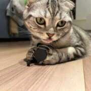 ヒメ日記 2025/07/22 10:19 投稿 ひかる ハッピーブリッジ