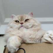 ヒメ日記 2025/07/24 11:17 投稿 ひかる ハッピーブリッジ