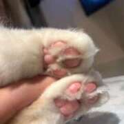 ヒメ日記 2025/07/26 11:57 投稿 ひかる ハッピーブリッジ