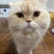 ヒメ日記 2025/09/02 10:17 投稿 ひかる ハッピーブリッジ