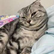 ヒメ日記 2025/10/15 10:27 投稿 ひかる ハッピーブリッジ