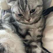 ヒメ日記 2025/10/29 10:47 投稿 ひかる ハッピーブリッジ