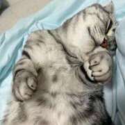 ヒメ日記 2025/11/26 11:07 投稿 ひかる ハッピーブリッジ