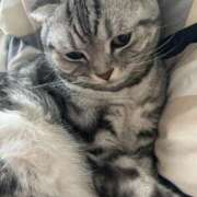 ひかる 向かってます🏃‍♂️ ハッピーブリッジ