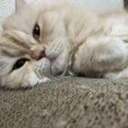 ひかる 退勤です⸜(*˙꒳˙*)⸝ ハッピーブリッジ