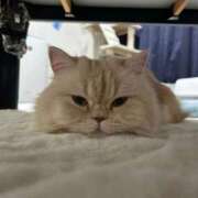 ヒメ日記 2025/12/30 09:37 投稿 ひかる ハッピーブリッジ