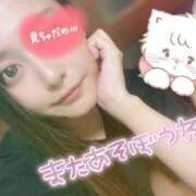 ヒメ日記 2025/01/12 06:15 投稿 カスミ secretgirl大阪