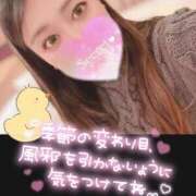 ヒメ日記 2026/01/17 20:25 投稿 カスミ secretgirl大阪