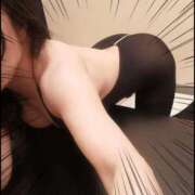 ヒメ日記 2025/04/14 16:54 投稿 さつき 元町奥さま